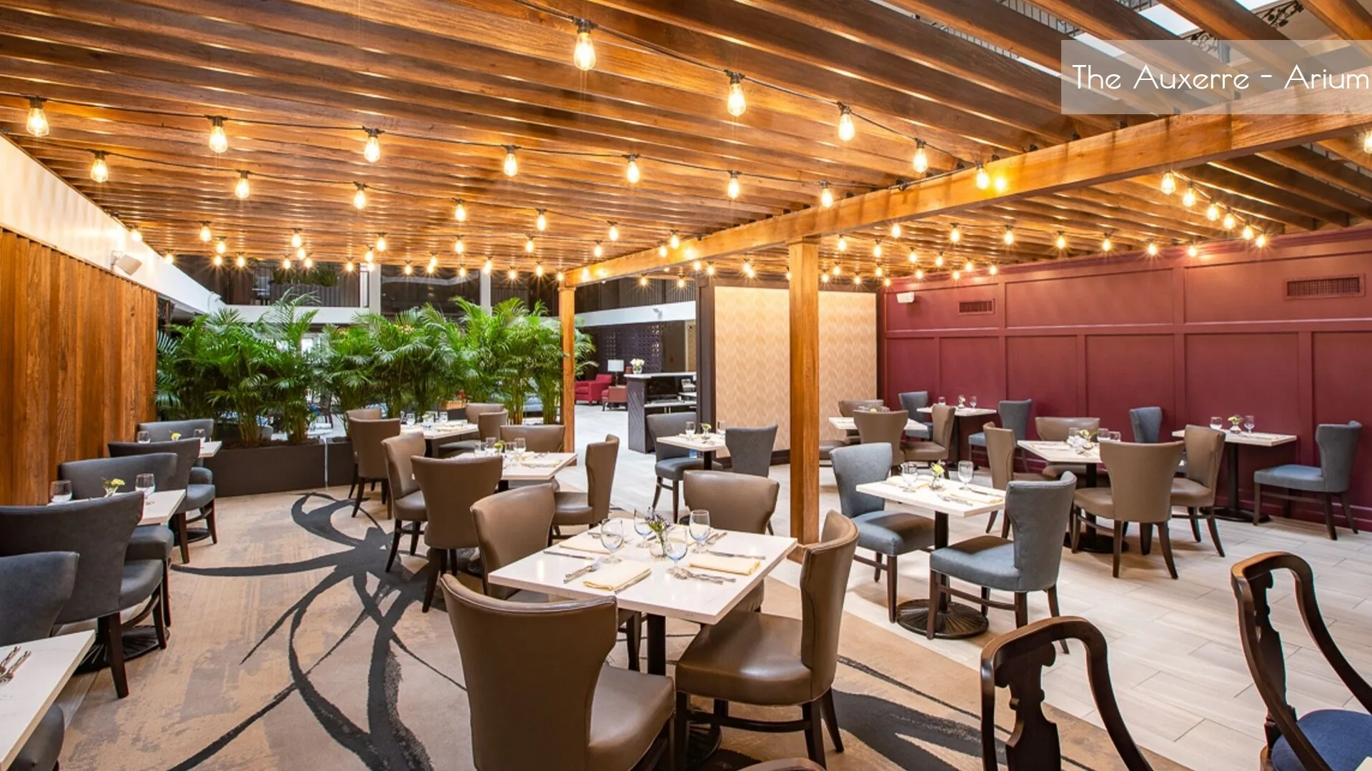 The Burgundy atrium beneath its warm wood pergola